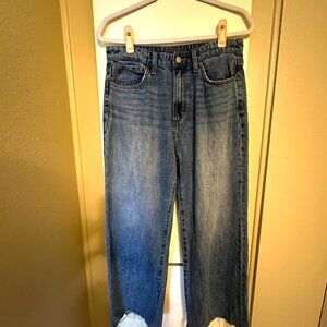 Joe's Jeans: The Blake, High Rise Wide Leg Crop